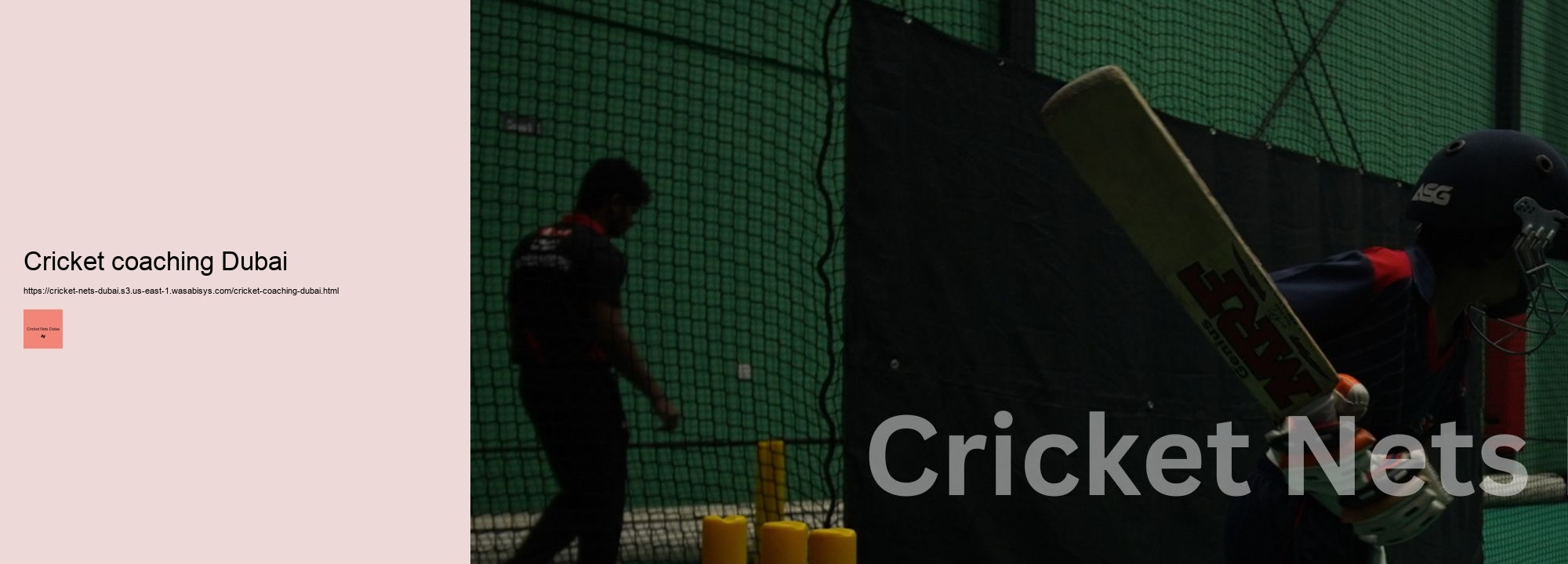 Cricket coaching Dubai