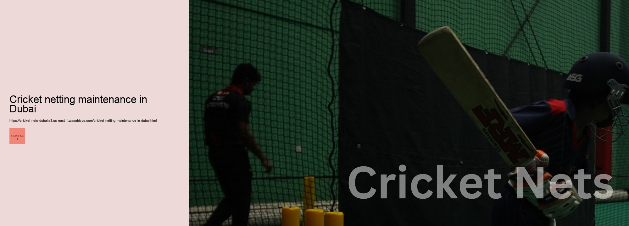 Cricket netting maintenance in Dubai